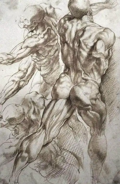 如果你还不了解速写肌肉训练法那绝对不能错过