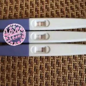 网红恶搞孕器怀假仿真恶作剧试纸孕怀孕验孕棒双杠t假神肚子道包