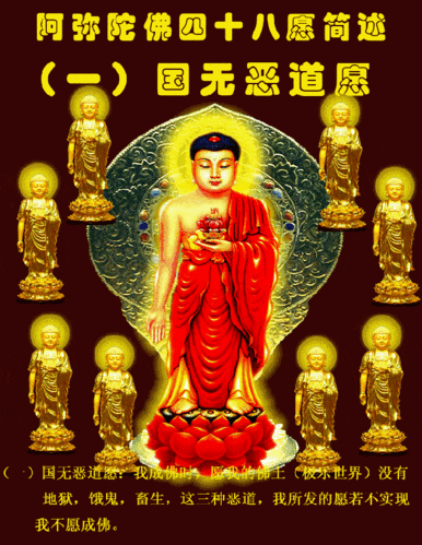 阿弥陀佛四十八大愿愿愿度尽娑婆众生苦