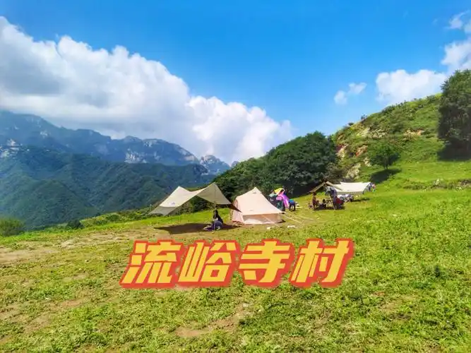 95爆火的高山草甸我来了蓝田的流峪寺村凭借壮观的美景,今年一下火