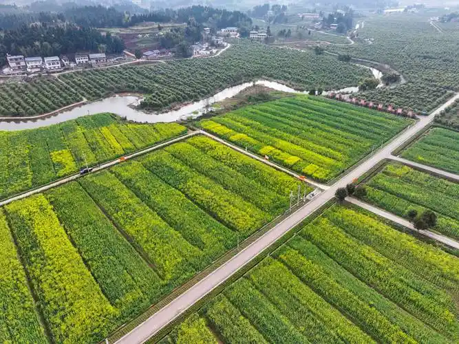 这是2月26日拍摄的重庆市潼南区柏梓镇小岭村景象(无人机照片).