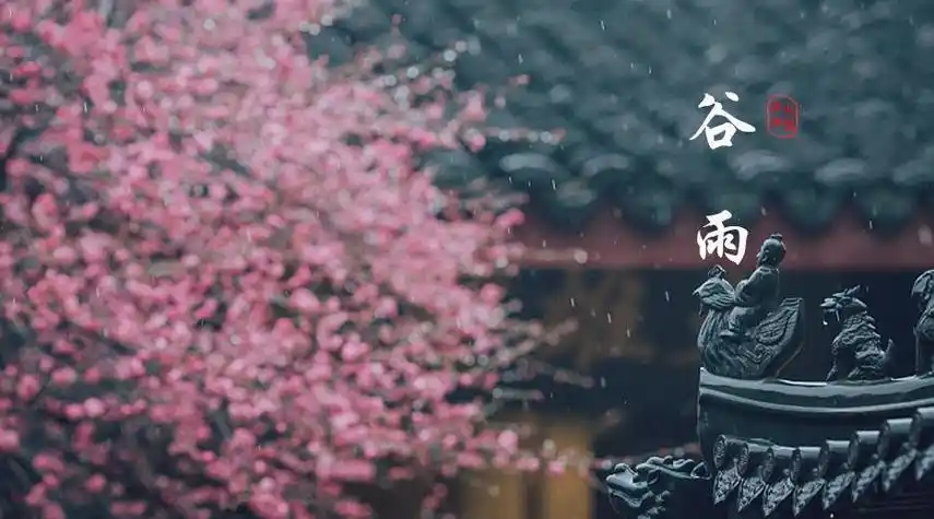 好快呀,春天的小尾巴就要摇走啦