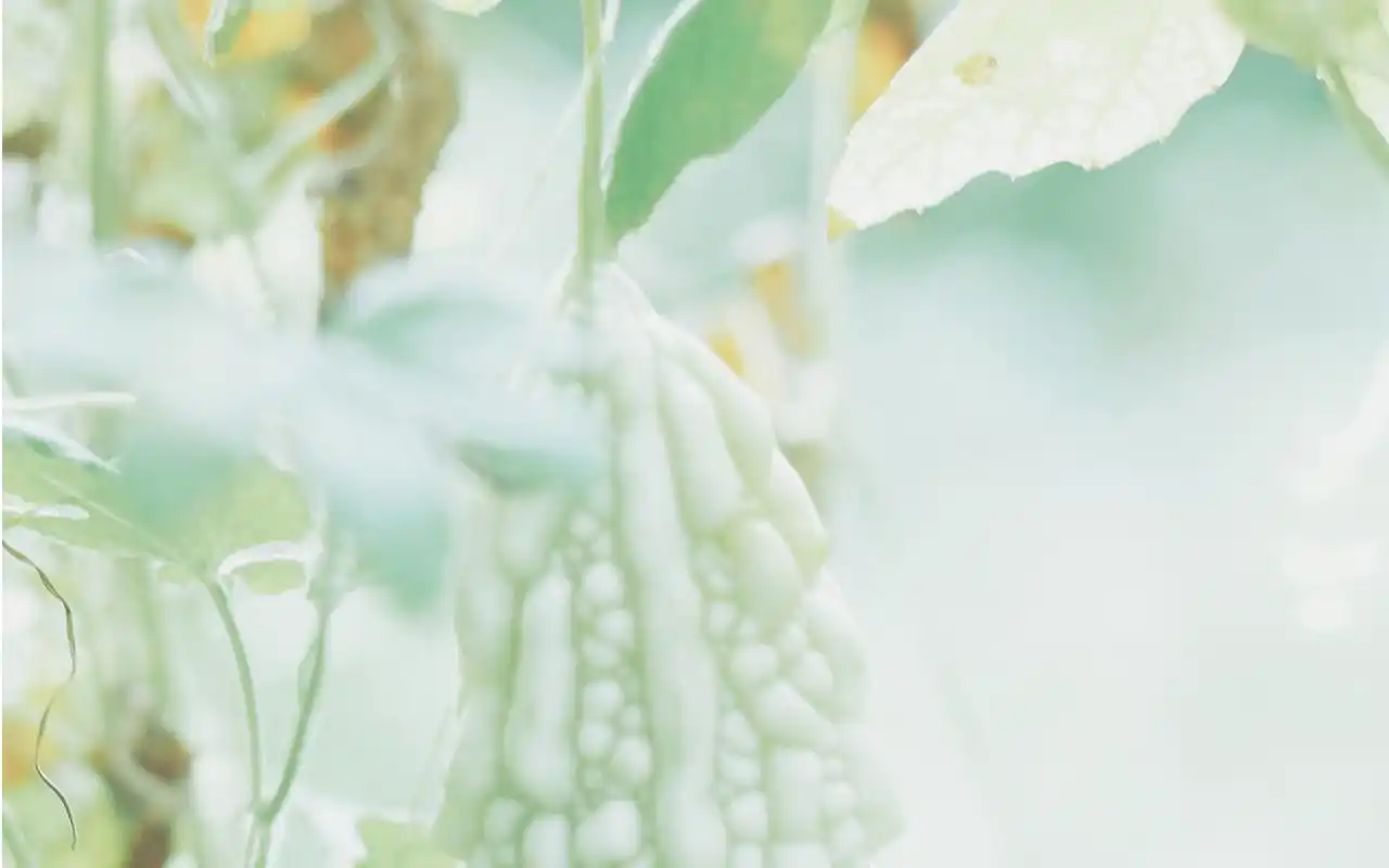 小清新护眼高清电脑桌面壁纸图片