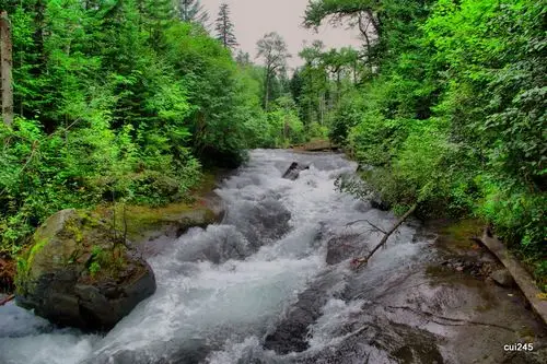 【长白山原始森林】-自然风景论坛-zol中关村在线