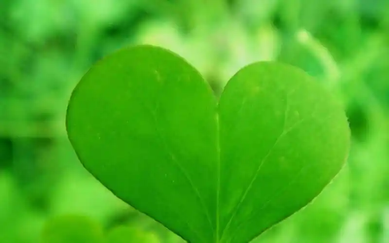 24小时自助业务下单平台,主打快手点赞,作品粉丝,双击播放量业务,抖音