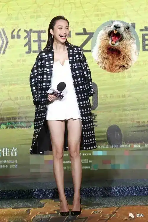 萝卜腿o型腿x型腿明星也遭遇的腿型尴尬怎么解决