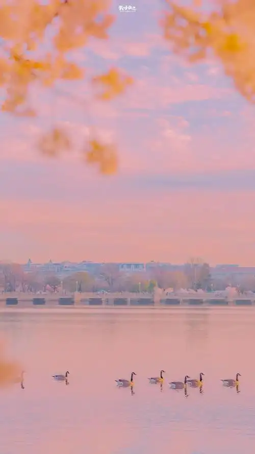 请你站在原地等我,春天小清新女生图片唯美(张摄影师拍的春日壁纸