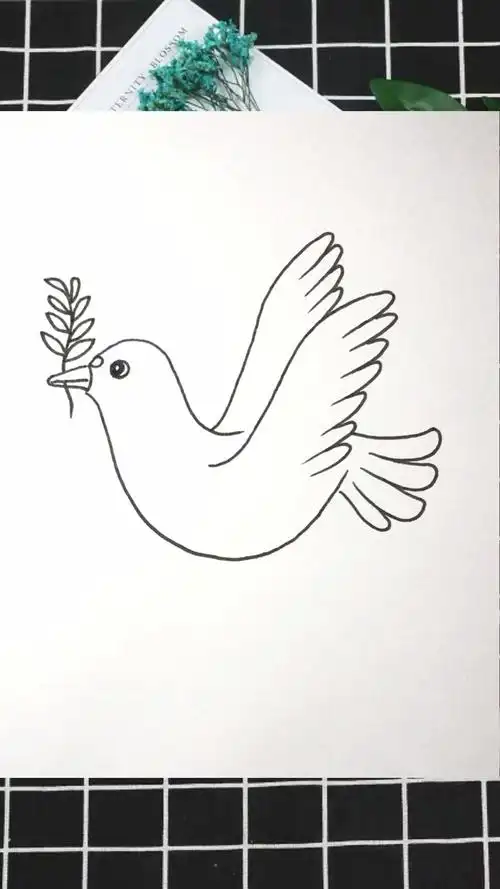 怎么画趣味白鸽简笔画