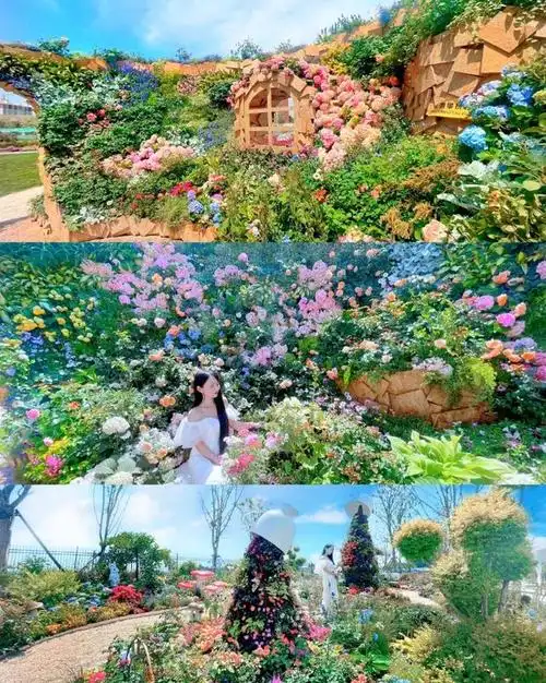 济南首家免费爱丽丝梦游仙境主题童话花园