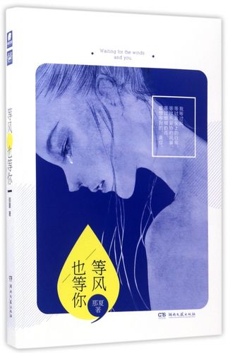 等风也等你 博库网