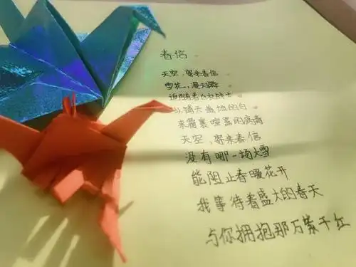 12万只千纸鹤,定制安心包,社区防疫细节既暖心又安心