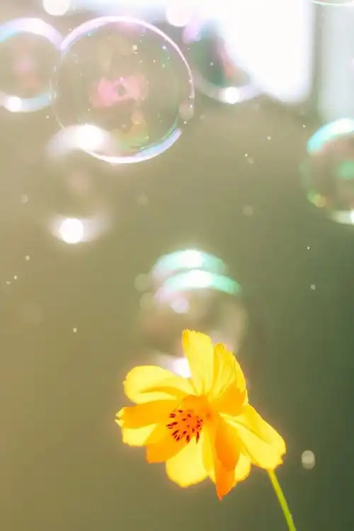 这100张压箱底の壁纸简直不要太好看