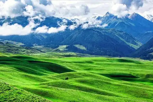 世界最美的高山草原——新疆-琼库什台