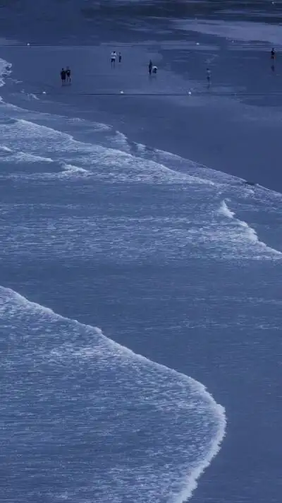 蓝色系壁纸三只熊