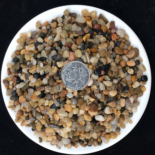 50斤鹅卵石沼泽过滤豆石五彩五彩石石头石子鱼缸其它园艺用品