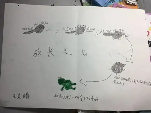 今天瑞小二4班的小朋友对《小蝌蚪找妈》中的小蝌蚪变成青蛙的过程