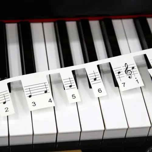 钢琴琴键音符五线谱简谱二合一粘贴键盘贴纸音标其它乐器配件