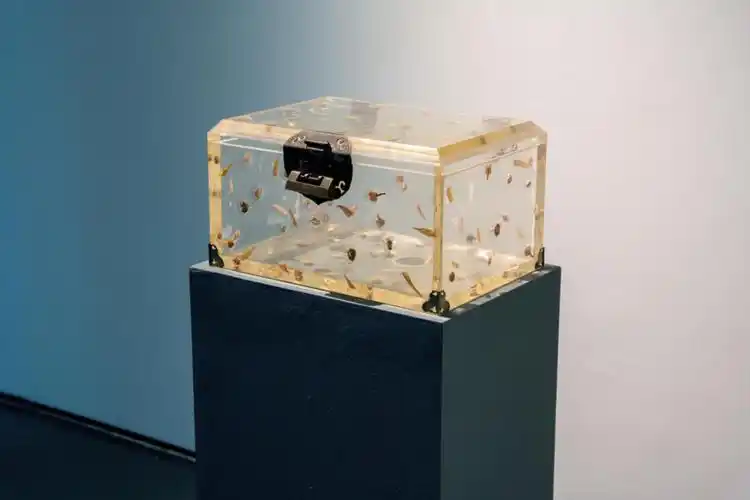 两大名家视角,8组艺术作品,展览"盒子:滕菲 谭平"隆重开幕