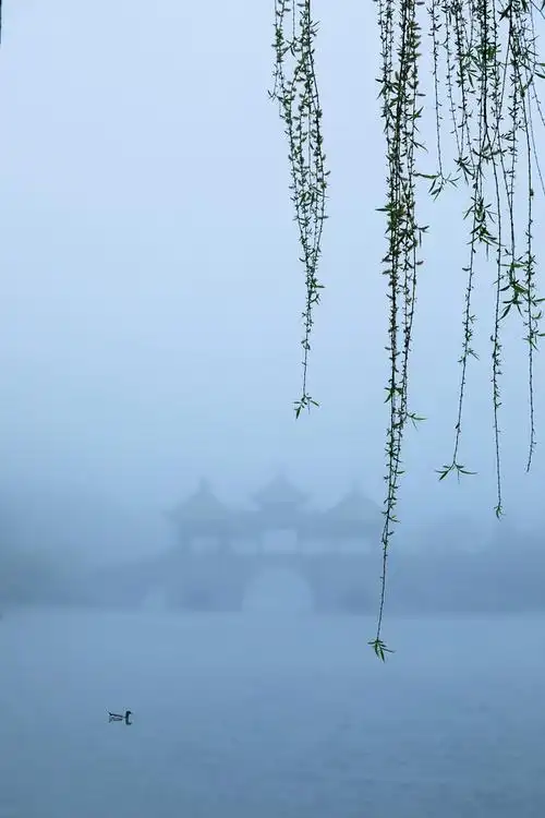 烟雨蒙蒙瘦西湖