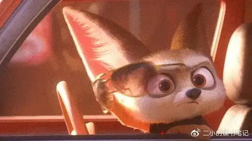 博物学笔记:耳廓狐