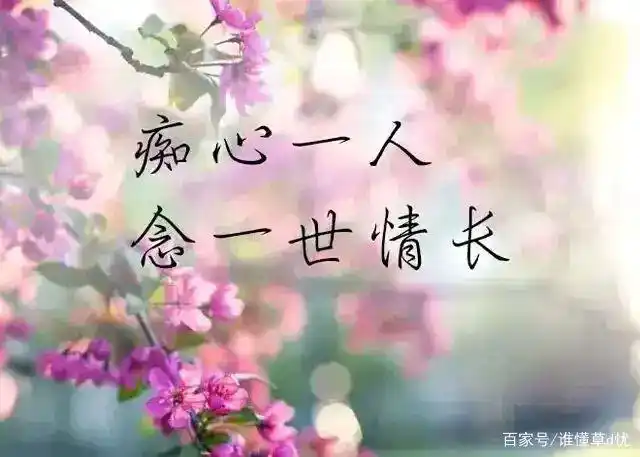 爱是与灵魂共鸣的情,想是牵动神经的依恋,入心的人再无人能代替
