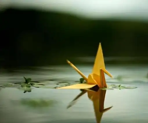 唯美小清新千纸鹤图片:每只千纸鹤都承载着一个美好的愿望 _ 图片网