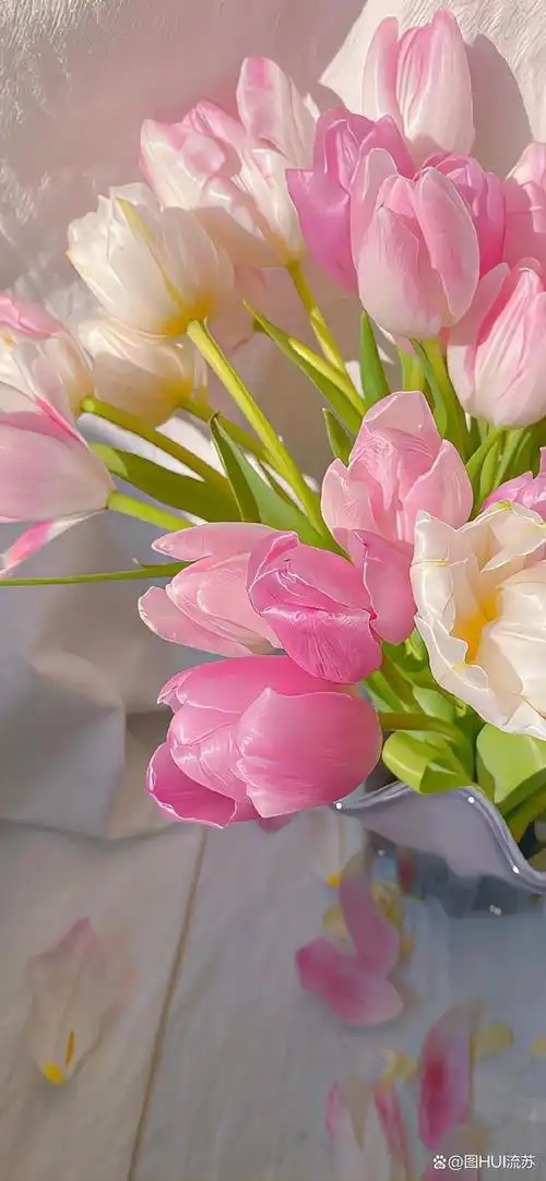 治愈系小清新手机壁纸