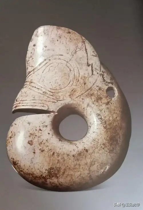 沈华:玉器的收藏知识之红山文化玉器代表性器物