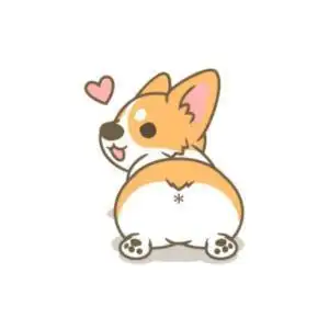 大屁股の短腿小柯基的直播间画一只可爱小狗怎么画柯基简笔画q版卡通