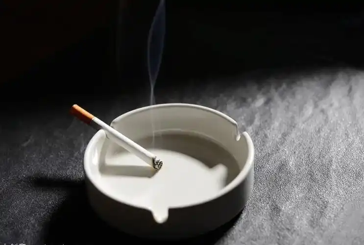 王蒙文学院61专栏签约诗人点然一支烟康小梅山西