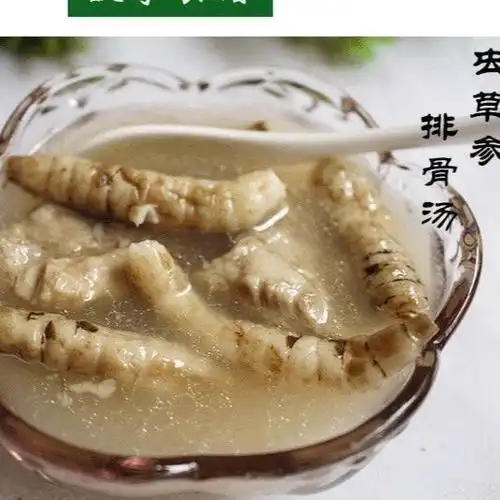 虫草参云南特产地参农家新鲜干货虫草参地龙菜泽兰根