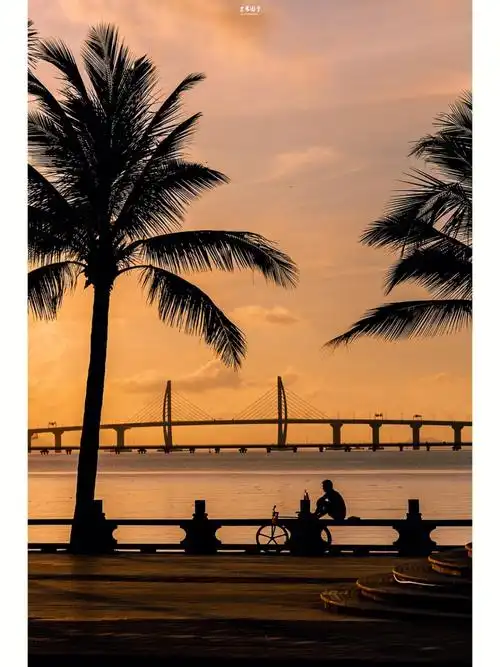 出去玩一定会看日出日落这次去珠海也没有躲过日出的浪漫高大的椰树