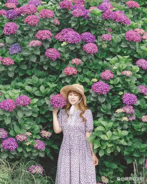 平常生活的照片,怎么拍好看?用这5句摄影口诀吧