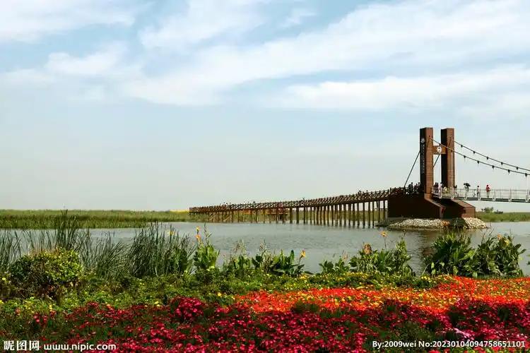 天津七里海湿地