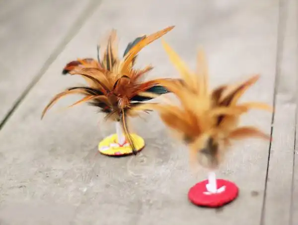 因为鸡毛毽子始终是头部着地.