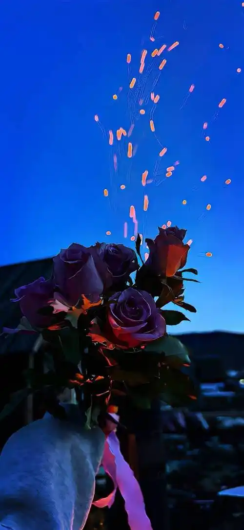 壁纸 桌面 886_1920 竖版 竖屏 手机