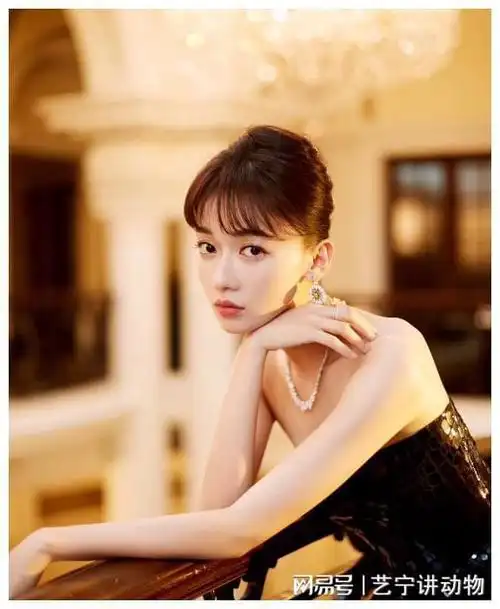 "何时休|那英|演员|蔡徐坤|吴谨言|她的演技|中国中央电视台_网易订阅