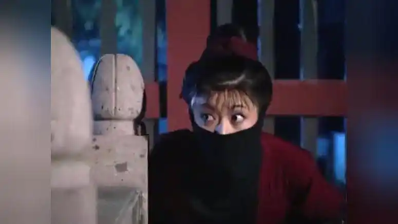 女飞贼夜闯王府,身手敏捷