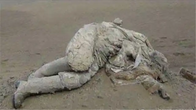 kb默默作品奇门丨一丶『李阳』初级痕迹记录龙行之宫殿13797