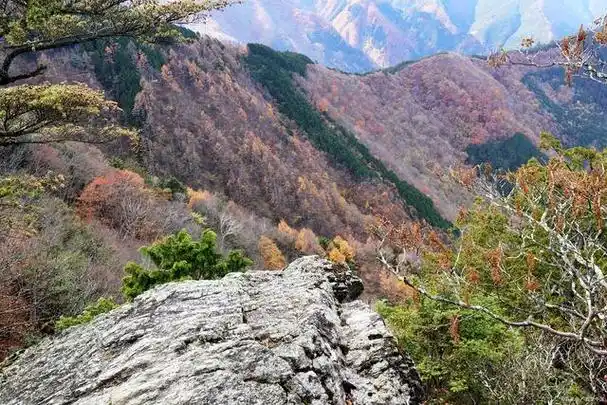 又名倒回峪,位于西安市蓝田县东南部,距西安市区65公里,发源于秦岭