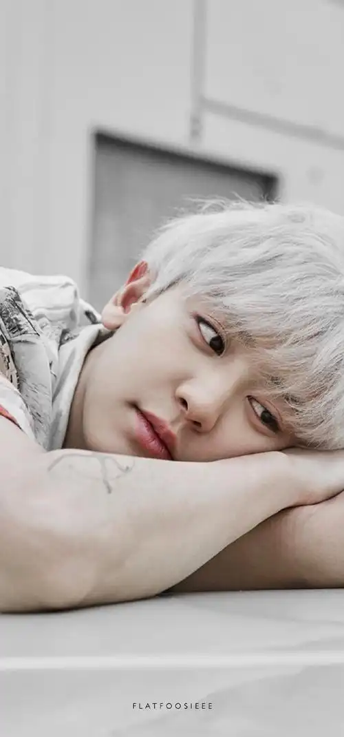 exo朴灿烈高清壁纸exocs小分队高清官网