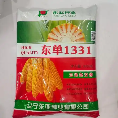 东单1902玉米种简介(东单1902玉米种多少钱1袋)