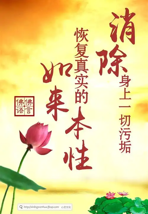 普陀东方心灵文化养生健康素食绿色环保拜佛文化修养境界莲花励志彼岸