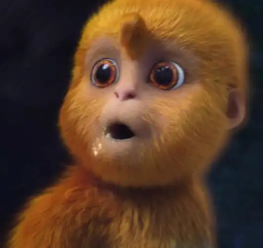 萌到心碎给大家分享一个可爱毛猴哈哈