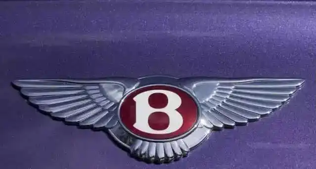 17大豪车标志含义 不懂,别说你懂车!