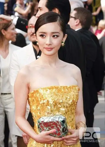 《锈与骨》首映 杨幂黄色低胸裙pk郝蕾深v透视装