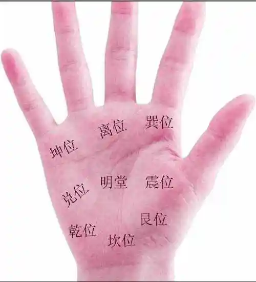 手相看病手掌九宫八卦诊病法
