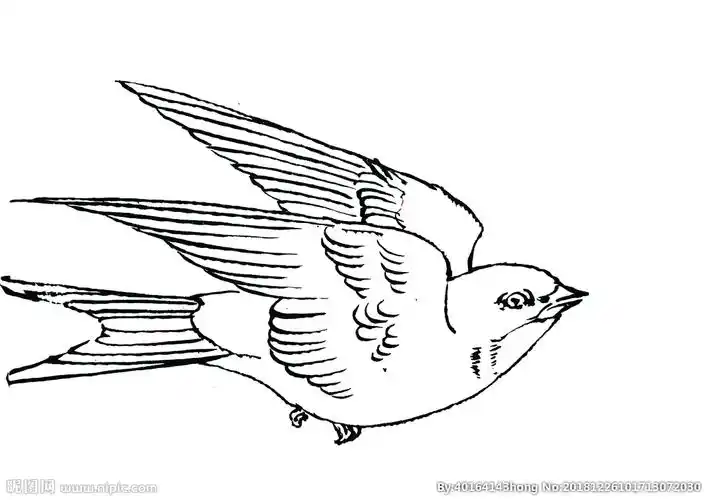 cmyk10共享分举报收藏立即下载×关 键 词:燕子 线描 手绘 鸟 白描