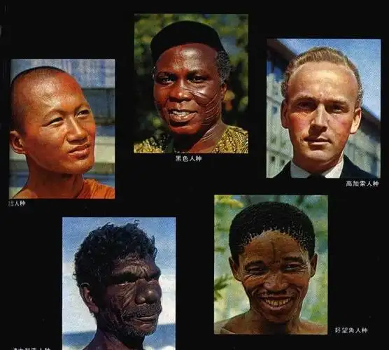 印度属于什么人种印度都是白人吗