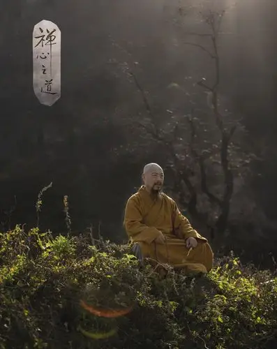 禅意,让灵魂安然